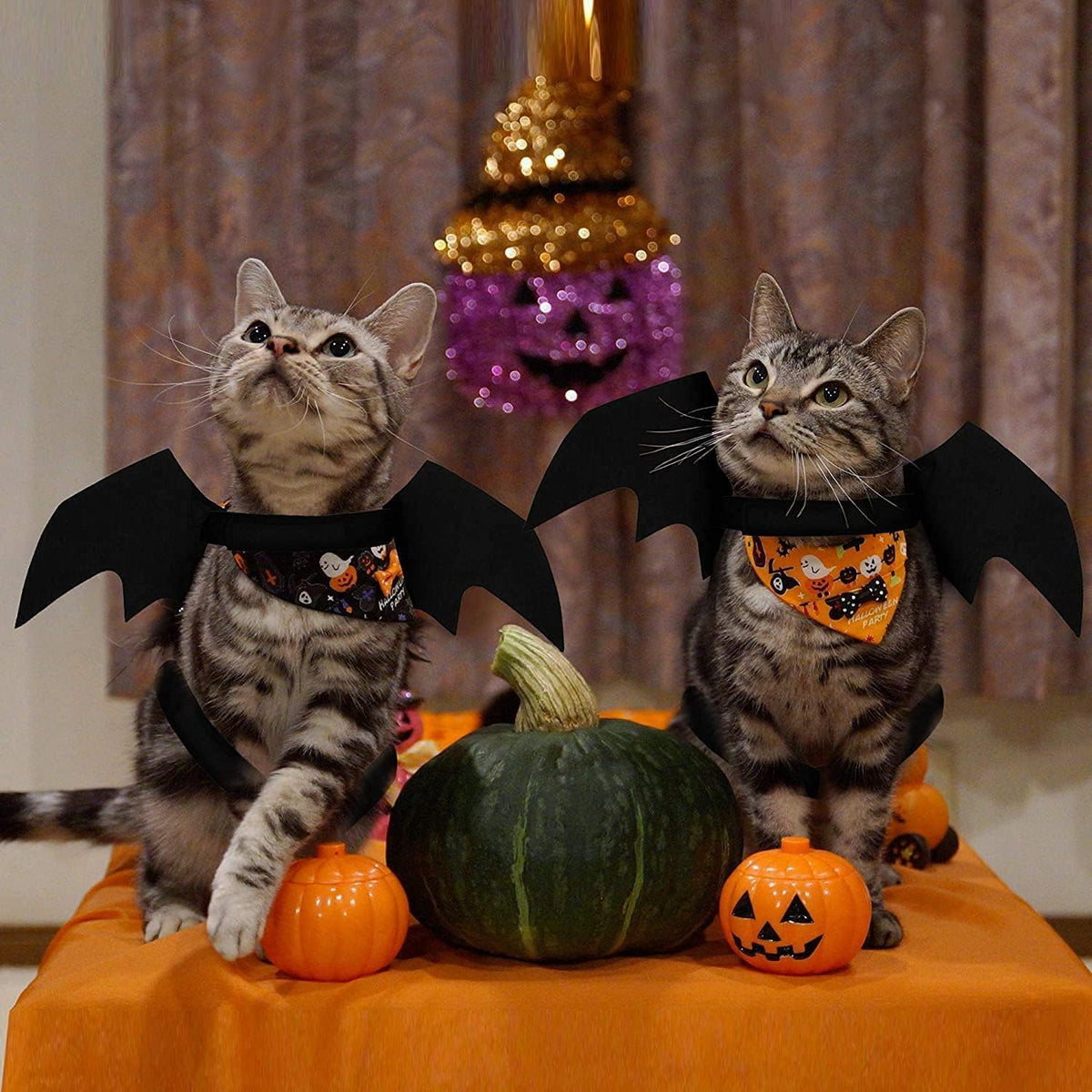 Halloween Pet Dog Cat Costume Vampire Wings Fancy Dress Bat Wings for Cats Dogs Neck Circumference from 25-35Cm and Bust from 45-65Cm